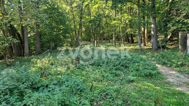 Prodej  pozemku 1 620 m², Halenkovice