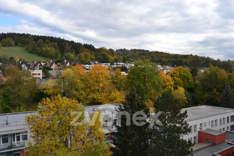 Pronájem bytu 2+1 48 m², Vsetín