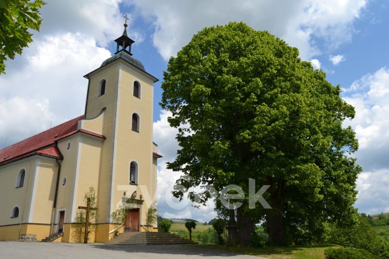 RD - dřevěnice - Francova Lhota