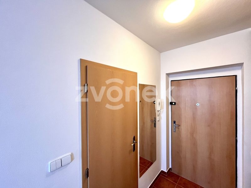 Pronájem bytu 1+kk 30 m², Zlín
