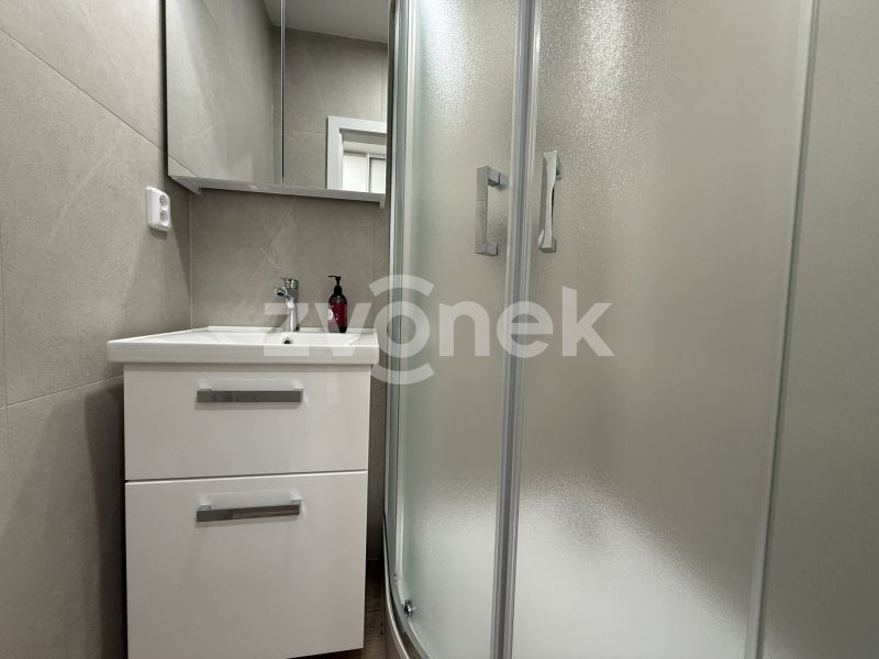 Pronájem bytu 2+1 56 m², Zlín