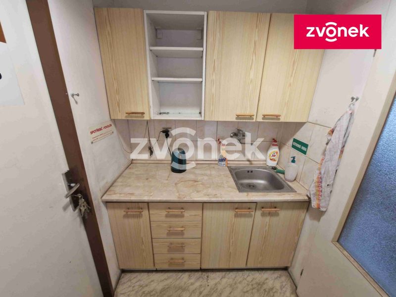 Prodej výrobního prostoru 2 890 m², Louka