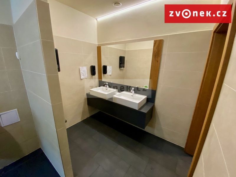 Prodej obchodního prostoru 500 m², Holešov