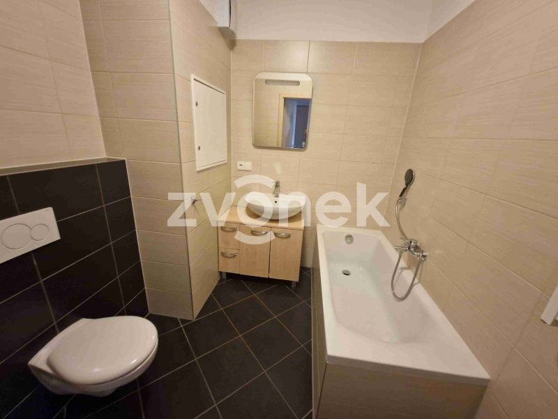 Pronájem bytu 2+kk 49 m² na Zahrádkách, Uherské Hradiště