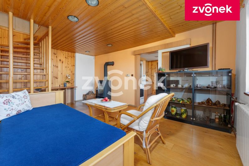 Víceúčelová vila 540 m², Hranice I-Město