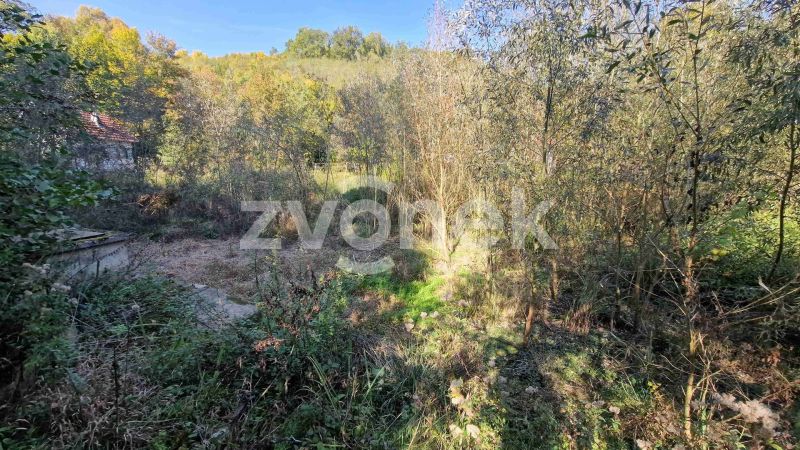 Prodej rybníku 2 136 m², Halenkovice
