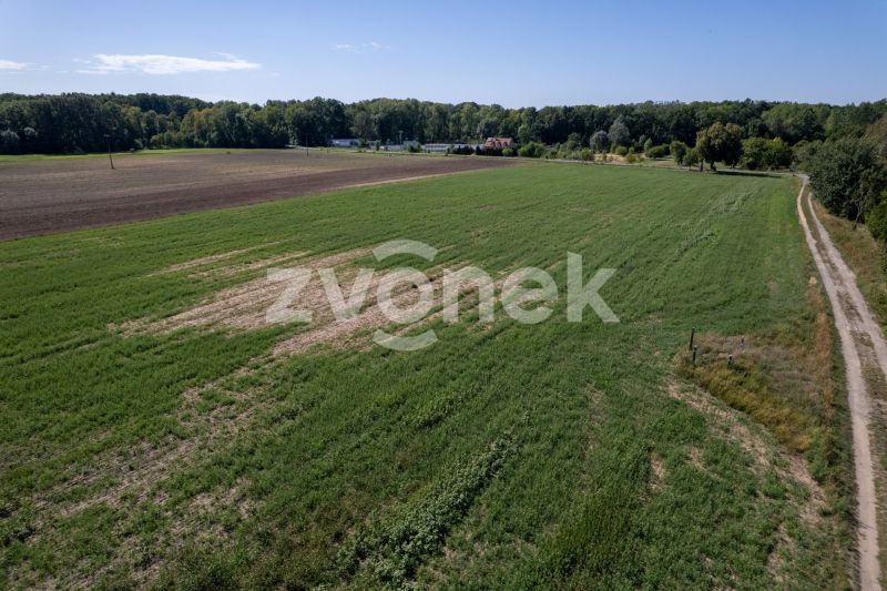 Prodej pozemku 12 000 m² v Plešovci s možností přikoupení navazujícího areálu