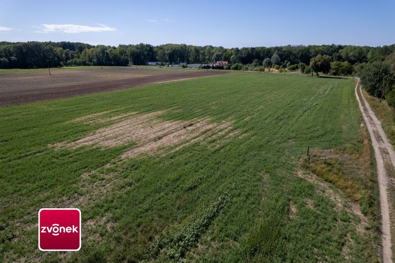 Prodej pozemku 12 000 m² v Plešovci s možností přikoupení navazujícího areálu