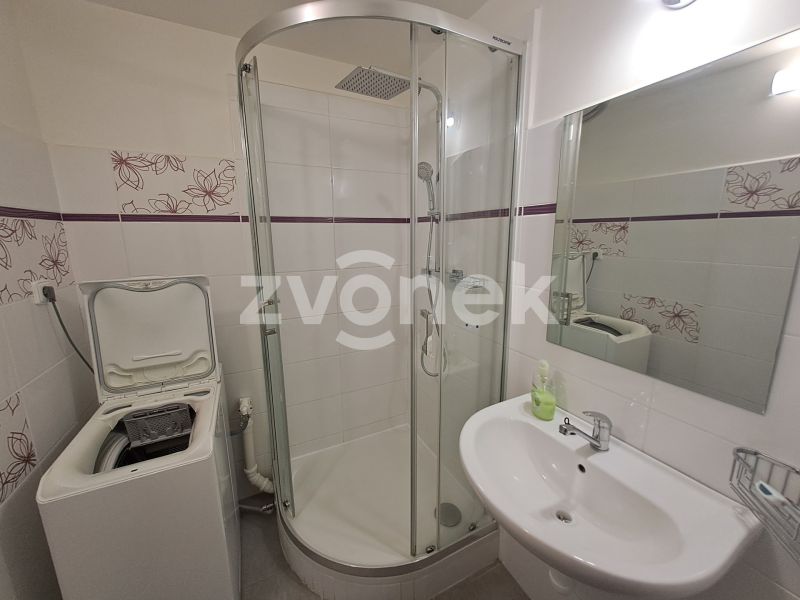 Pronájem bytu 1+1 35 m², Zlín - U Trojáku