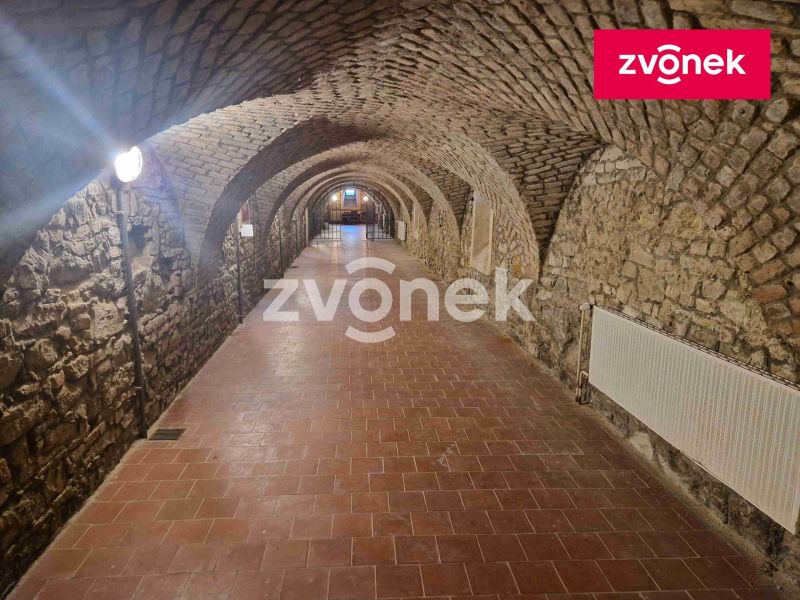 Pronájem obchodního prostoru 650 m², Uherské Hradiště