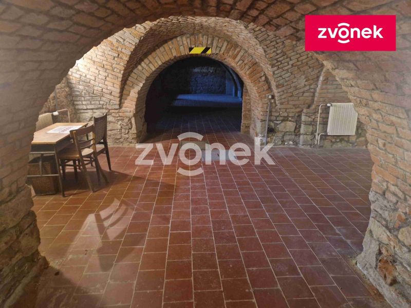 Pronájem obchodního prostoru 650 m², Uherské Hradiště
