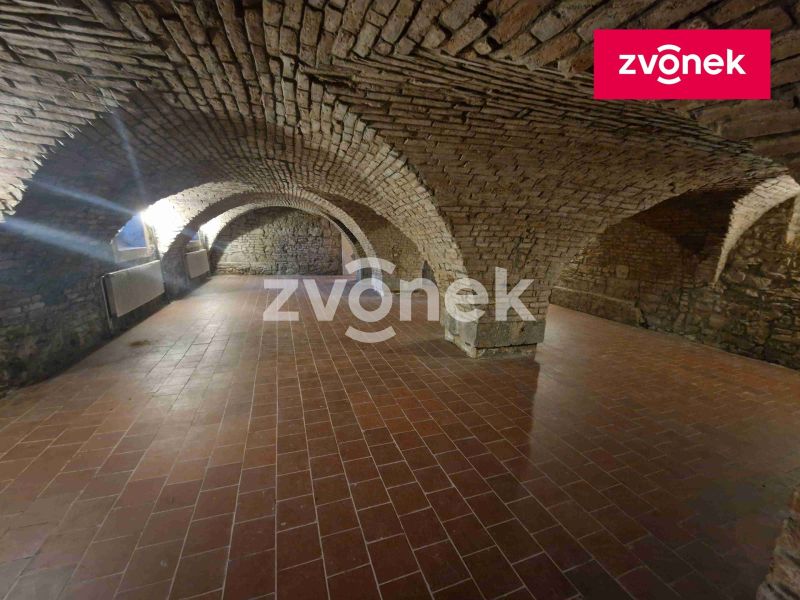 Pronájem obchodního prostoru 650 m², Uherské Hradiště