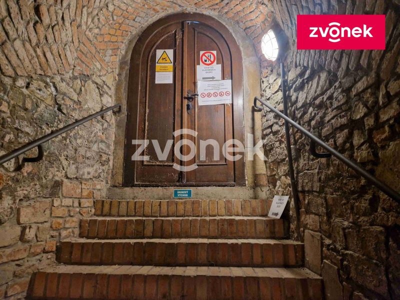 Pronájem obchodního prostoru 650 m², Uherské Hradiště