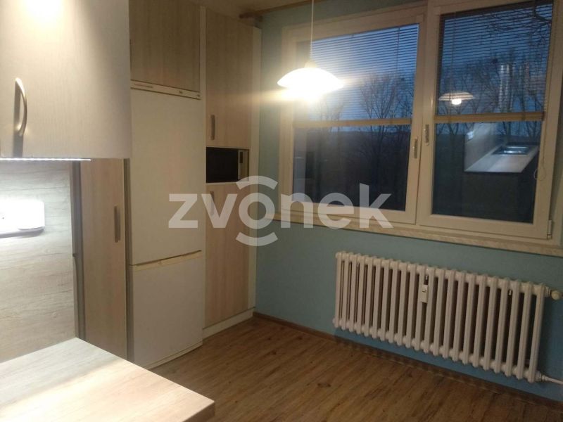Pronájem bytu 2+1 s balkonem, Napajedla