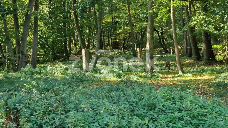 Prodej  pozemku 1 620 m², Halenkovice
