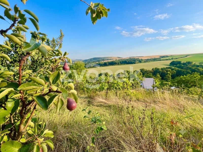 Prodej zděné chaty se zahradou 707 m², Napajedla