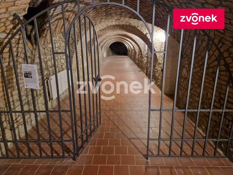 Pronájem obchodního prostoru 650 m², Uherské Hradiště