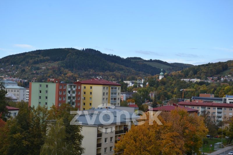 Pronájem bytu 2+1 48 m², Vsetín