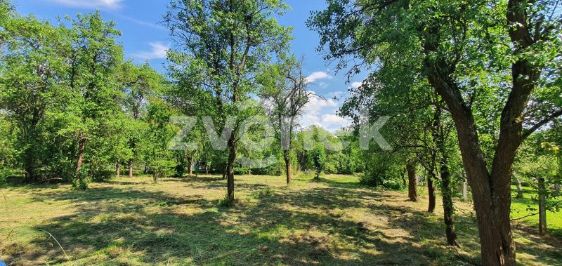 Prodej rodinného domu 300 m², Tečovice