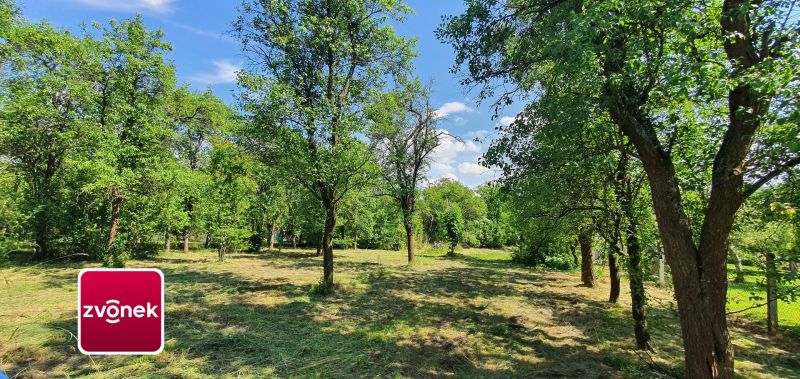 Prodej rodinného domu 300 m², Tečovice