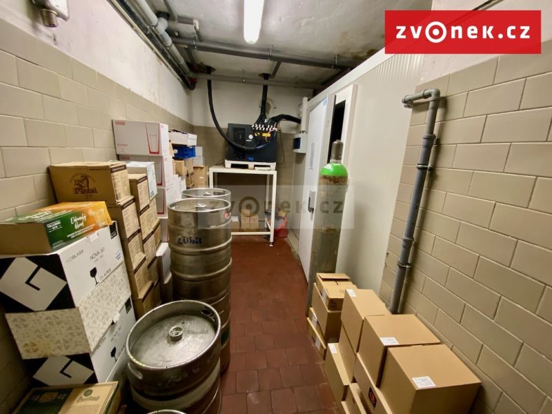 Prodej obchodního prostoru 500 m², Holešov