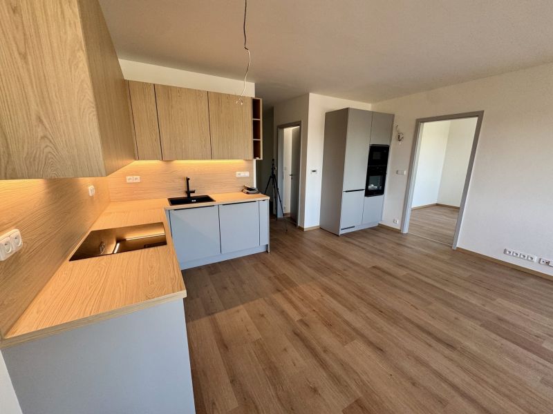 Pronájem bytu 3+kk 73 m², Zlín