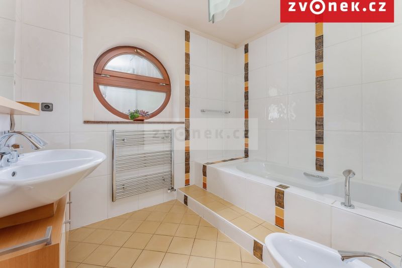Víceúčelová vila 540 m², Hranice I-Město