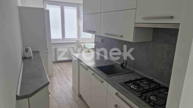 Pronájem bytu 2+1 po rekonstrukci, sídliště Kopánky, Staré Město
