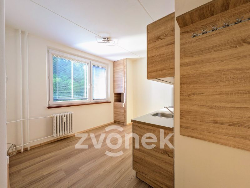 Pronájem bytu 2+1 43 m², Vsetín