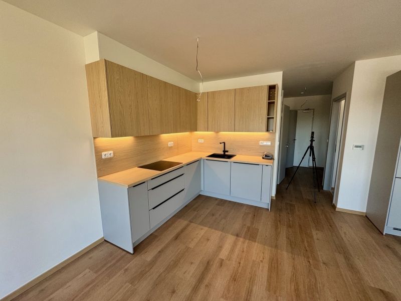 Pronájem bytu 3+kk 73 m², Zlín