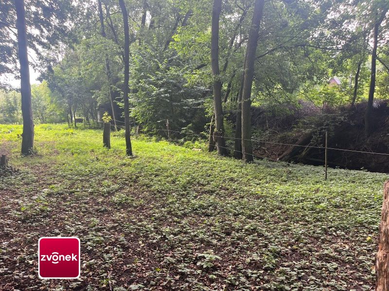 Prodej pozemku, les, rybník, mýtina 3 756 m² v obci Halenkovice