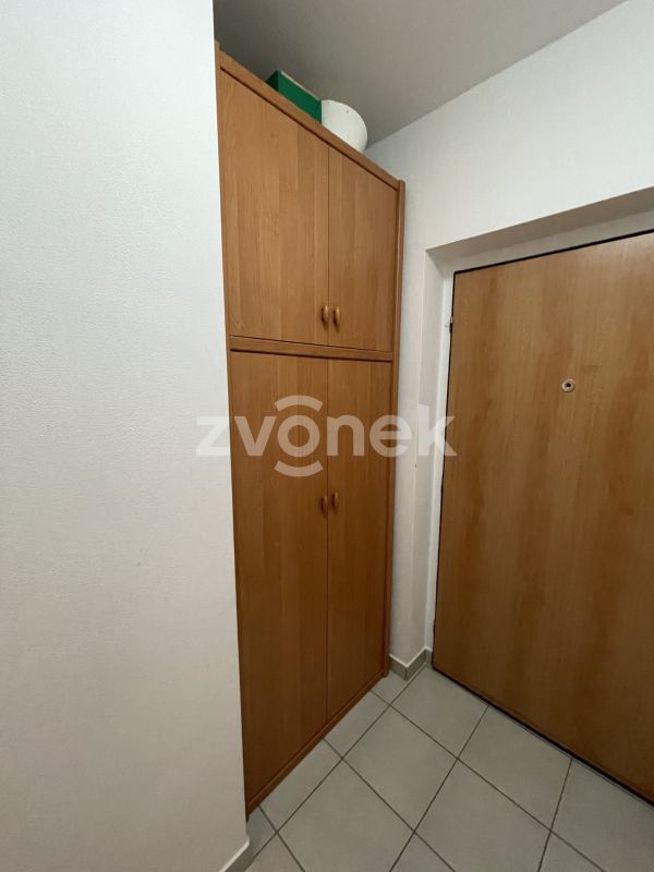 1+kk U Centrálního parku, Zlín s velkou terasou, vybavený