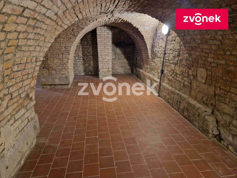 Pronájem obchodního prostoru 650 m², Uherské Hradiště