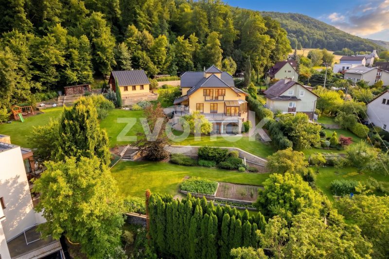 Víceúčelová vila 540 m², Hranice I-Město