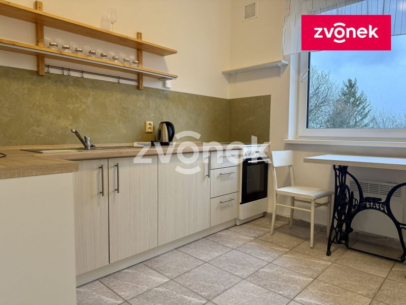 Pronájem bytu 1+1 40 m², Zlín - Kudlov