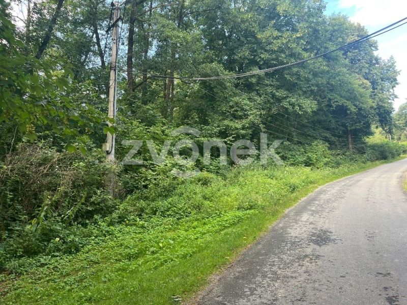 Prodej  pozemku 1 620 m², Halenkovice