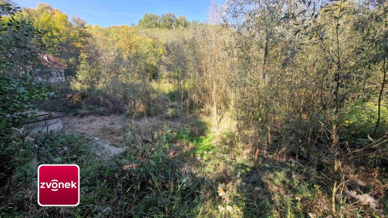 Prodej pozemku, les, rybník, mýtina 3 756 m² v obci Halenkovice