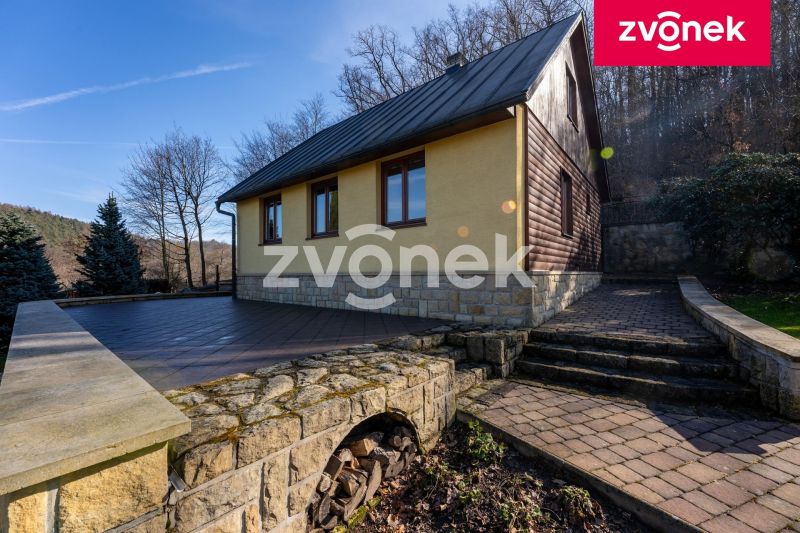 Víceúčelová vila 540 m², Hranice I-Město