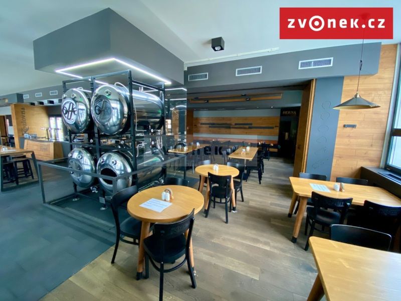 Prodej obchodního prostoru 500 m², Holešov