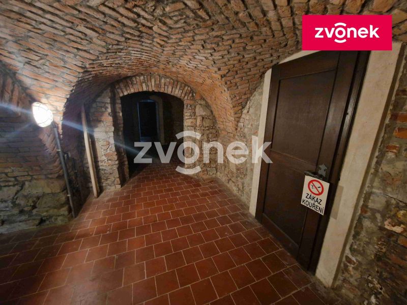 Pronájem obchodního prostoru 650 m², Uherské Hradiště