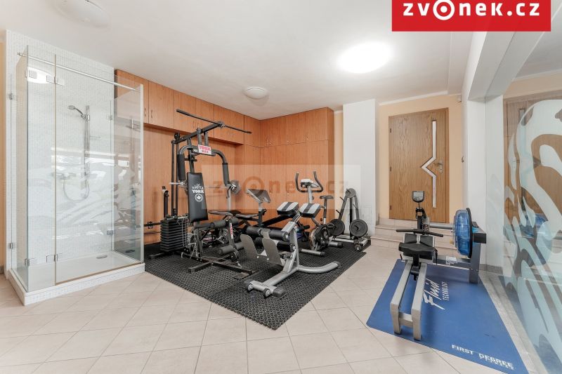 Nadstandardní vila Hranice, 7+1, 540m2 užitná plocha