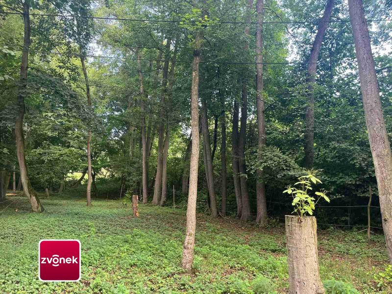 Prodej pozemku, les, rybník, mýtina 3 756 m² v obci Halenkovice