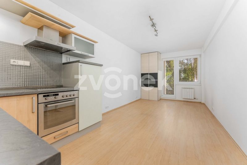 Pronájem bytu 1+kk 27 m², Zlín