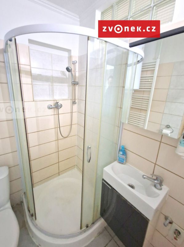 Pronájem bytu 1+1 33 m², Zlín