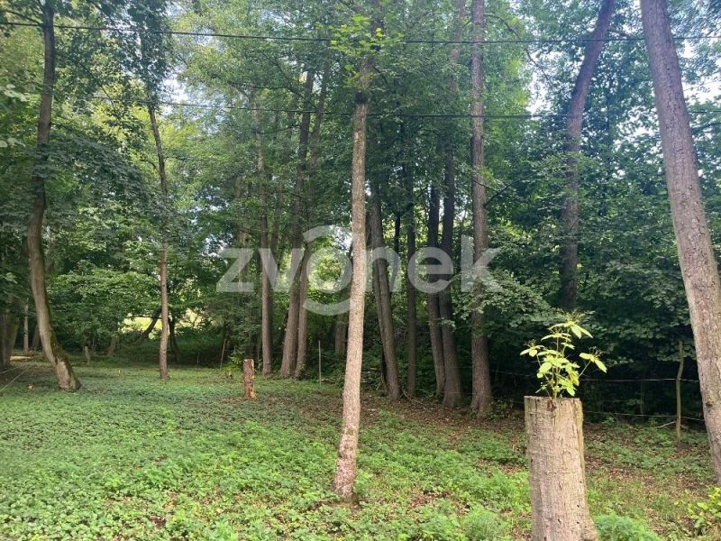 Prodej  pozemku 1 620 m², Halenkovice