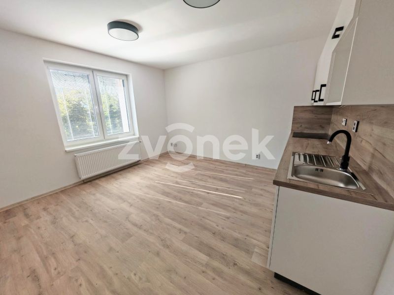 Pronájem bytu 1+kk, Otrokovice (byt 1.03)