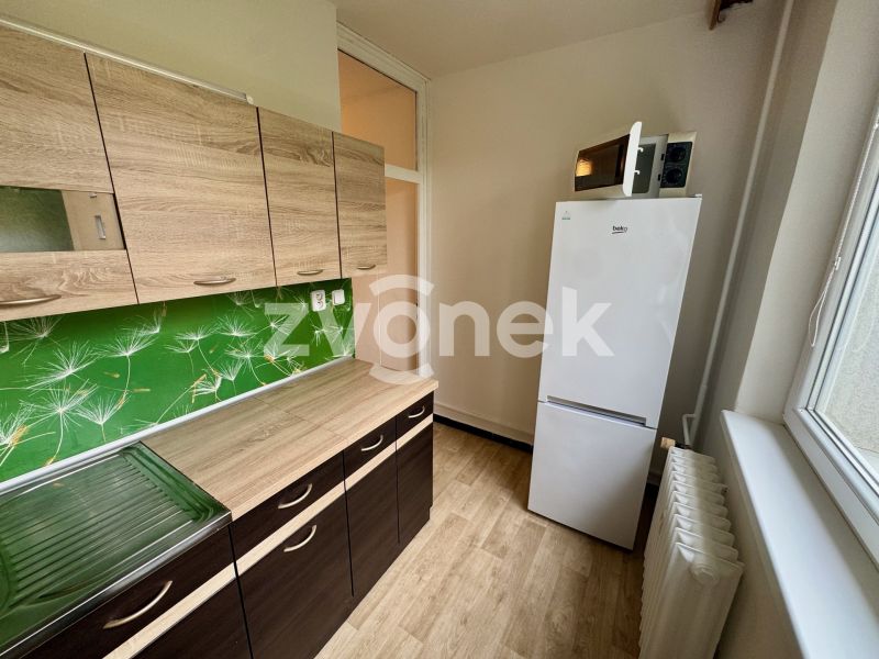 Pronájem bytu 1+1 39 m², Zlín - Bartošova čtvrt