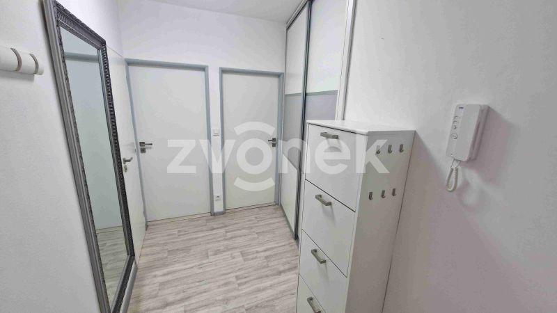 Pronájem bytu 2+1 po rekonstrukci, sídliště Kopánky, Staré Město