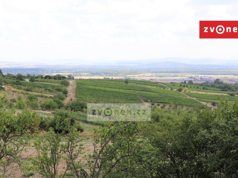 Prodej RD k celkové rekonstrukci Ořechov u Uherského Hradiště, v kraji s rozsáhlými plochami vinic