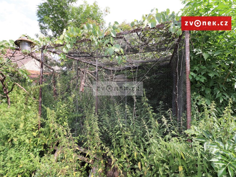 Prodej RD k celkové rekonstrukci Ořechov u Uherského Hradiště, v kraji s rozsáhlými plochami vinic